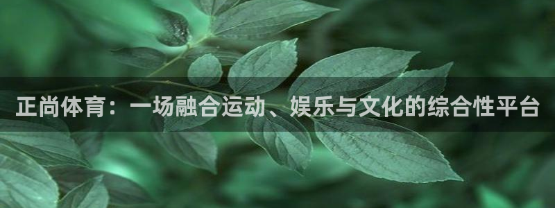 6t体育sports：正尚体育：一场融合运动、娱乐与文化的综合性平台