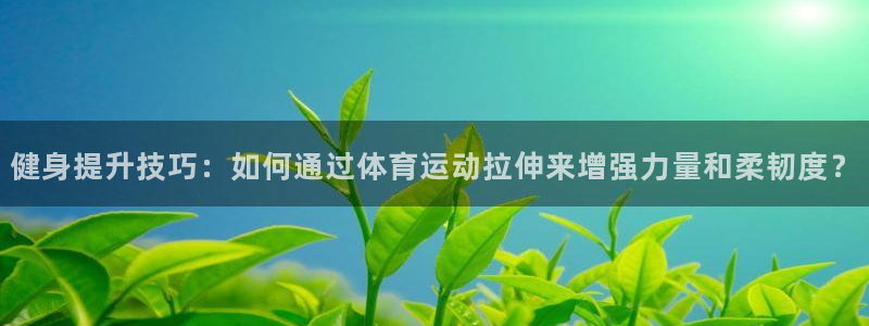 6t体育网页版：健身提升技巧：如何通过体育运动拉伸来增强力量和柔韧度？