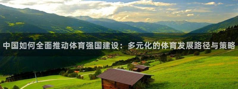 6t体育客户端：中国如何全面推动体育强国建设：多元化的体育发展路径与策略