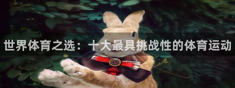 6T体育网：世界体育之选：十大最具挑战性的体育运动