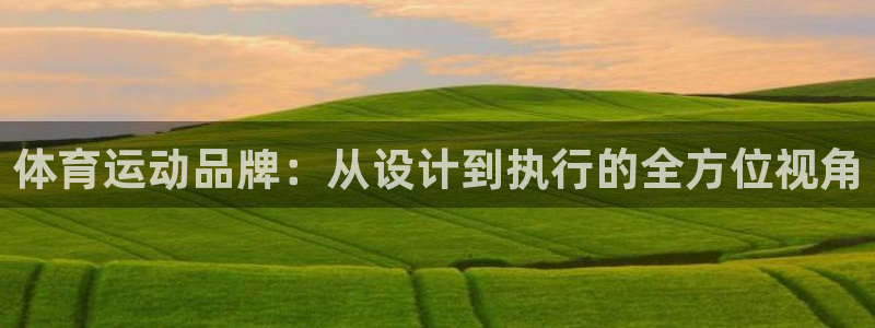6t体育网站推荐：体育运动品牌：从设计到执行的全方位视角